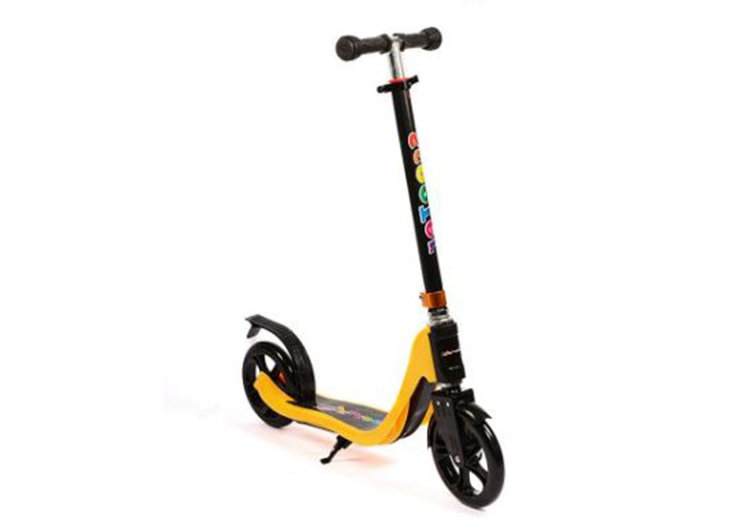 Xe trượt (Scooter) 218-1